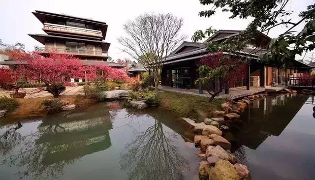 已爆满！刚刚湖州这个景区发出紧急通知，请前往周边游玩