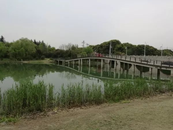 无锡最值得打卡的网红街,无锡梁溪区网红免费打卡地