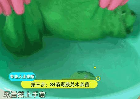 牙膏去除发霉的墙壁小妙招,75%酒精可以消除墙壁发霉的霉菌吗