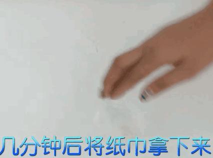 牙膏去除发霉的墙壁小妙招,75%酒精可以消除墙壁发霉的霉菌吗