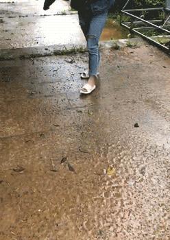 比普通拖鞋好穿100倍！踩在云朵上一样舒服，好穿到爆！永不臭脚！网友：想丢掉家里所有其它拖鞋！