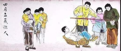 立夏丨春意藏夏初长风暖人间草木香