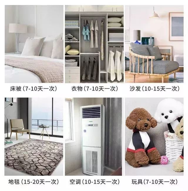 不用洗床单晒被子怎么除螨虫,螨虫去除妙招不用花露水