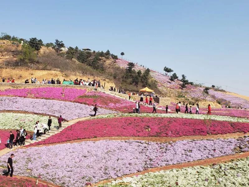 唐山今年的五一,唐山五一有什么活动