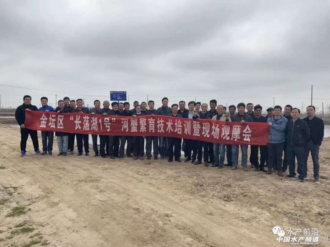 长荡湖大闸蟹养殖,长荡湖一号大闸蟹