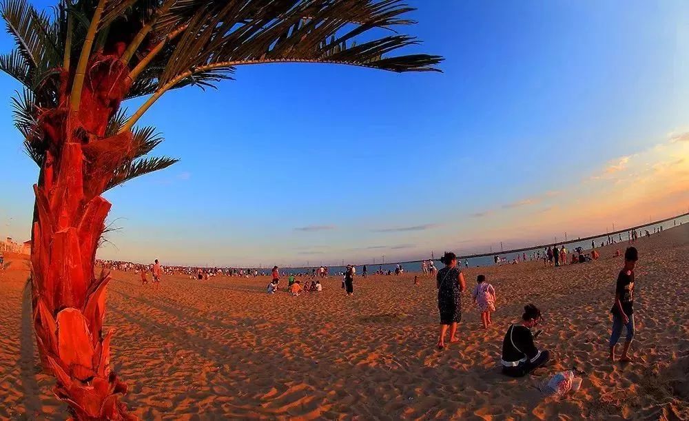 如果不打开这篇文章，你永远不会知道沧州居然可以这么好玩|漫游冀（12）