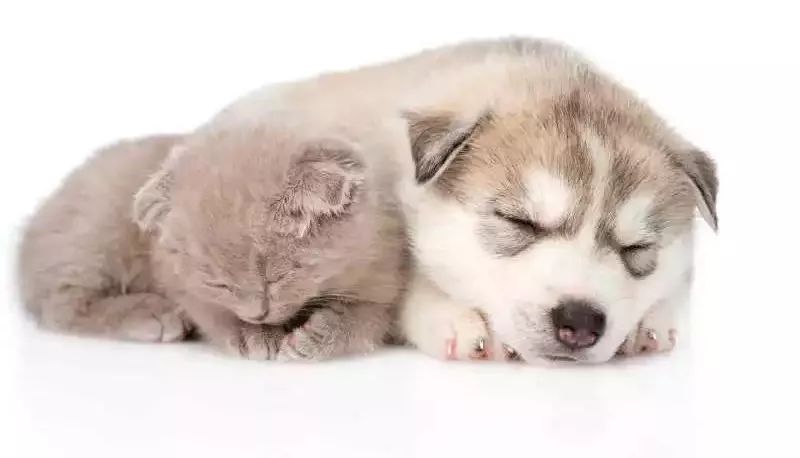 <html>
<head><title>502BadGateway</title></head>
<body>
<center><h1>502BadGateway</h1></center>
<hr><center>nginx</center>
</body>
</html>
<!--apaddingtodisableMSIEandChromefriendlyerrorpage-->
<!--apaddingtodisableMSIEandChromefriendlyerrorpage-->
<!--apaddingtodisableMSIEandChromefriendlyerrorpage-->
<!--apaddingtodisableMSIEandChromefriendlyerrorpage-->
<!--apaddingtodisableMSIEandChromefriendlyerrorpage-->
<!--apaddingtodisableMSIEandChromefriendlyerrorpage-->
