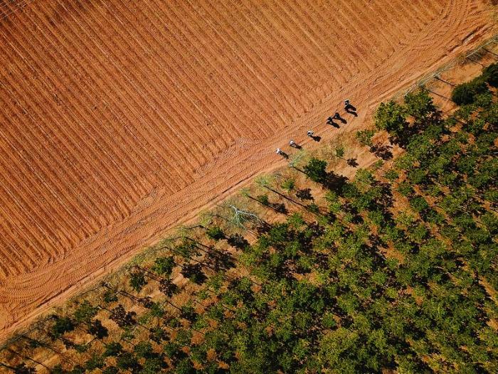 行走在大漠戈壁,行走在新疆的胡杨