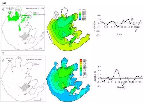蓝藻水华对淡水养殖的影响,蓝藻水华的现状