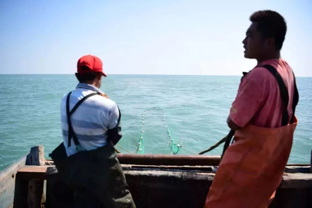 @秦皇岛人休渔期没海鲜?别担心,还有这些新鲜海货可以吃!