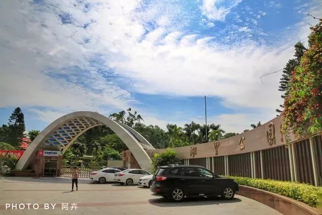 厦门夜景最美公园排名前十的地方,厦门公园美景视频