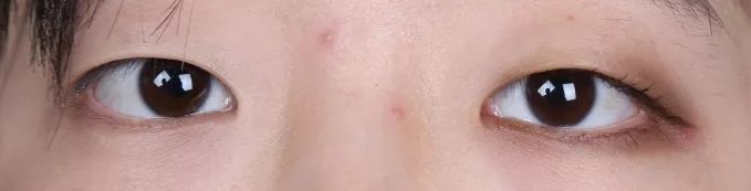 单眼皮内双显眼大的眼妆教程,单眼皮内双眼妆萌新教程