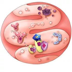 被咬伤感染狂犬病的概率,狂犬病和破伤风的表现有何不同