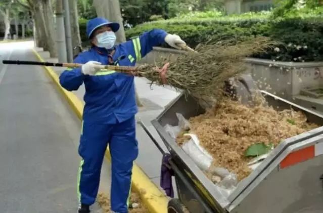 最近过半中国人都在噗噗噗呸呸，一开门，心里飘过一万头羊驼…