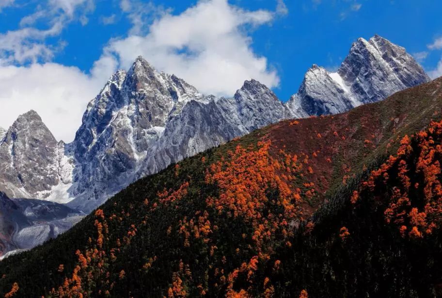 桃坪羌寨好玩还是甘堡藏寨好玩,毕棚沟五一免门票吗