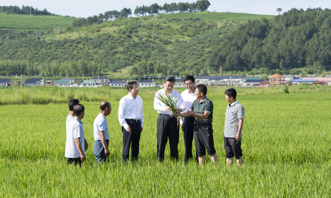 怎样才能卖到好米,好米怎么蒸粒粒分明