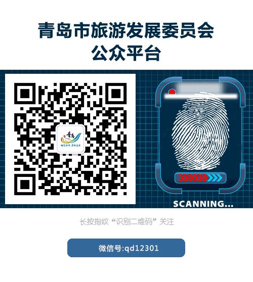 邮轮旅游团咨询,邮轮旅游服务