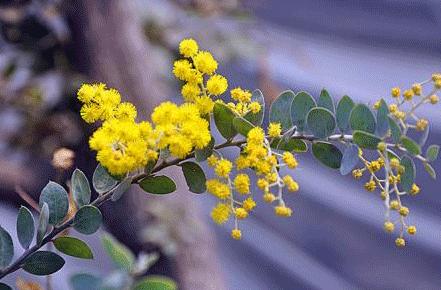 超级好闻的止汗喷雾,夏季美白防汗喷雾