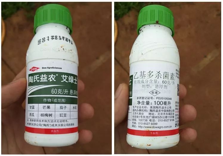 草地贪夜蛾预测及防控技术,草地贪夜蛾爆发期