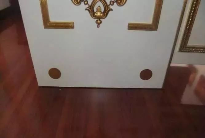 1.5米生态缸的用料及造景,1.2米的缸适合做什么缸