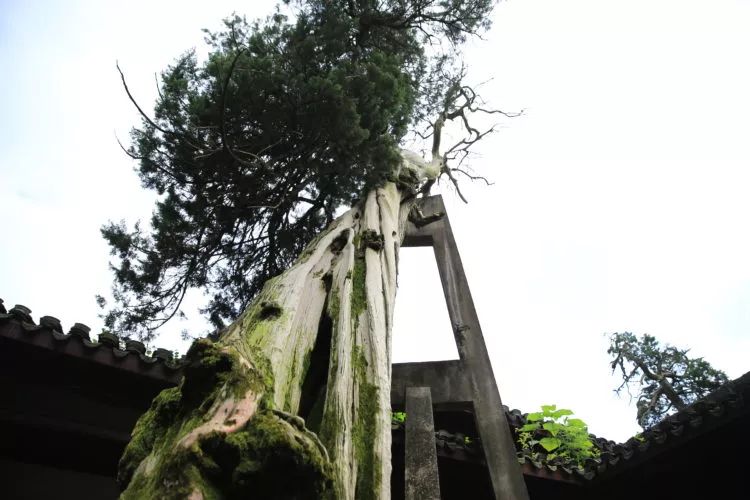 浙江省金华市太平天国侍王府,金华太平天国侍王府好玩之处