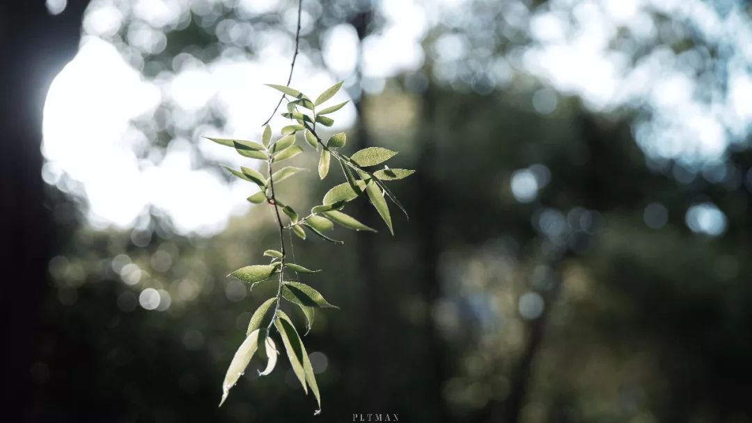 和我在杭城的运河边走一走