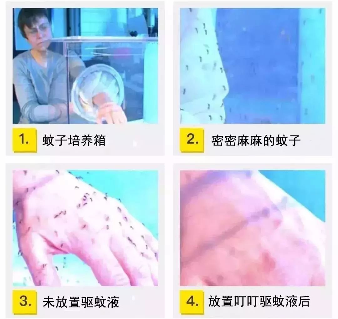 日本蚊子驱蚊神器,夏天灭蚊必备好物