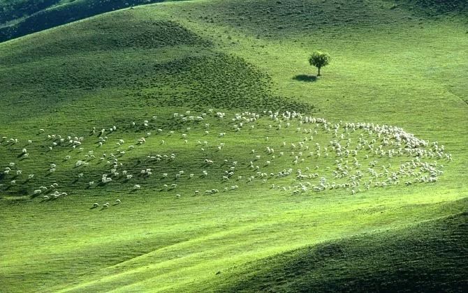 12月份出国亲子游,出国亲子游哪些国家合适