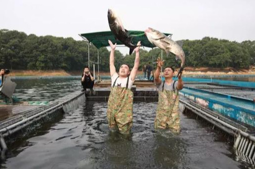 信阳值得去的景点推荐一下,信阳南湾湖能游吗