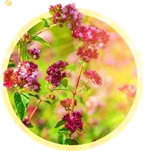 Top10|突袭妈妈们的化妆台，我居然被种草了！