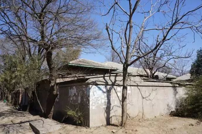 从“赌海”开始，一步步走进“毒海”，她就这样毁了自己……