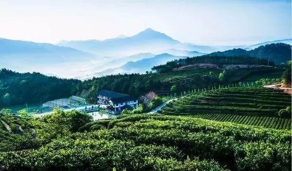 全网黑转粉，看曾经土肥圆如何逆袭碾压一种超模