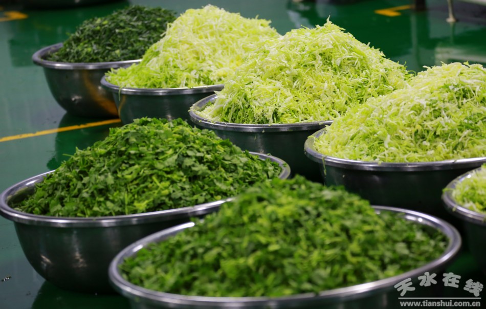 甘肃武山苦苣酸菜浆水出售,武山酸菜销售