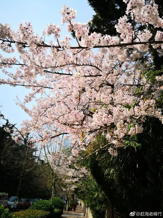 青岛一座浓厚德式风情的海滨城市,青岛一座很美的城市