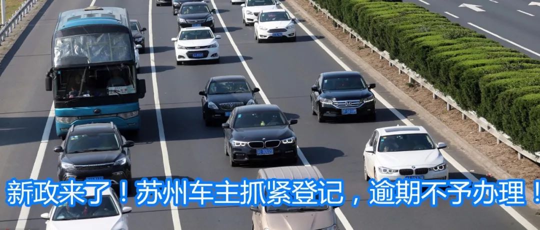 小区流浪狗咬伤20多人,苏州流浪狗被咬视频