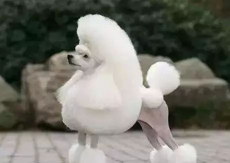 为什么有人把朋友圈设成三天可见,微信怎样把一个人设成三天可见