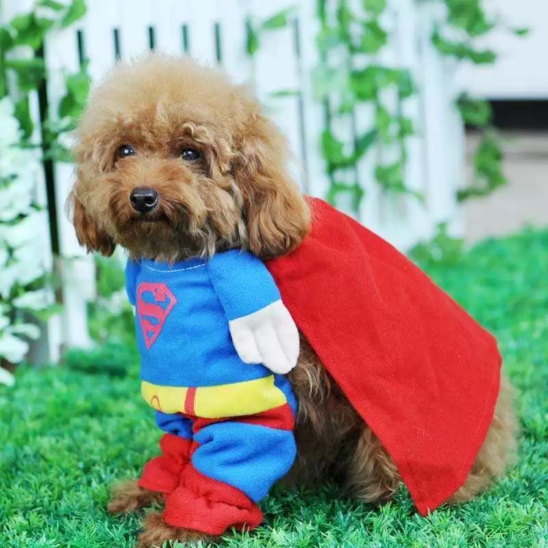 朋友圈设成三天可见代表着什么,有时候把朋友圈设成三天可见