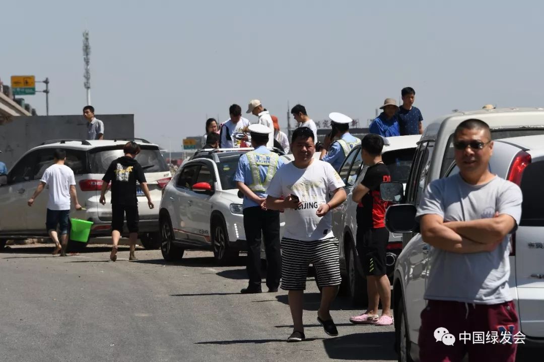 天津遗鸥保护,遗鸥国家自然保护区