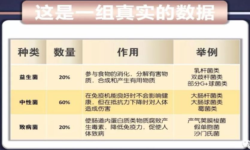 养乐多益生菌最好的前十名,养乐多的益生菌从哪里提炼出来的