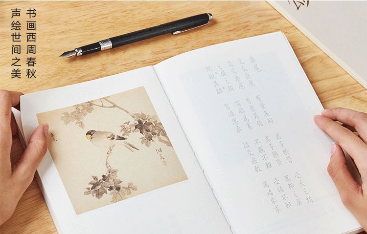 诗经中最唯美的文字,诗经的美才是真的美