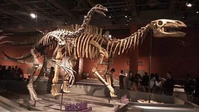 观澜湖夏令营600多人,观澜湖高尔夫夏令营