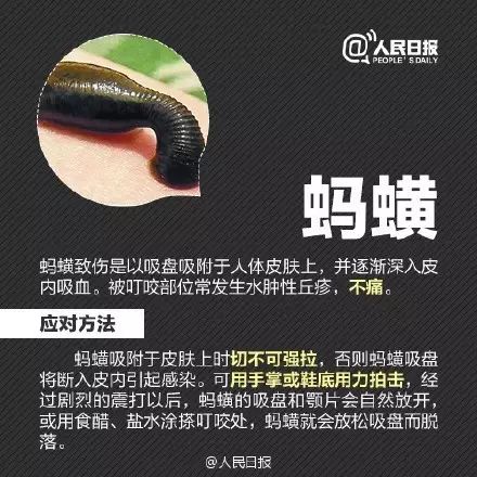 警惕这小虫，六安已有人因它致死！当下高发期！