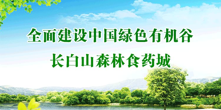 执“绿色”巨笔绘生态画卷——白山市建设中国绿色有机谷·长白山森林食药城素描