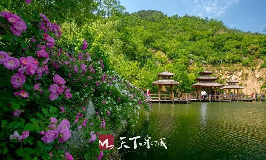 济南半价后的旅游景点,免费半价全国景点大优惠来啦