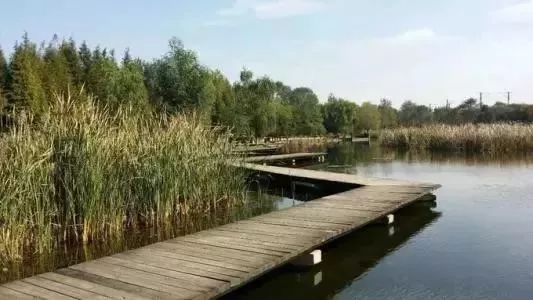 玩转大连森林公园,逛遍大连森林公园