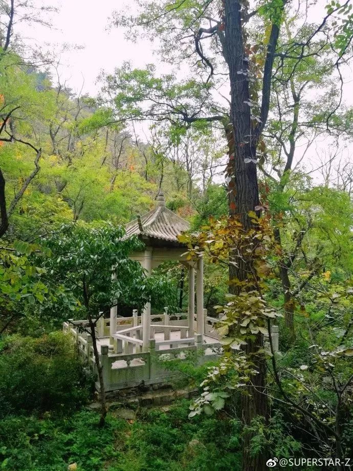 玩转大连森林公园,逛遍大连森林公园