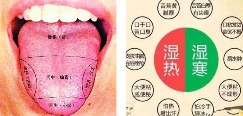 女星综艺秀耿直人设崩坏？转行直播“开医馆”反圈粉！