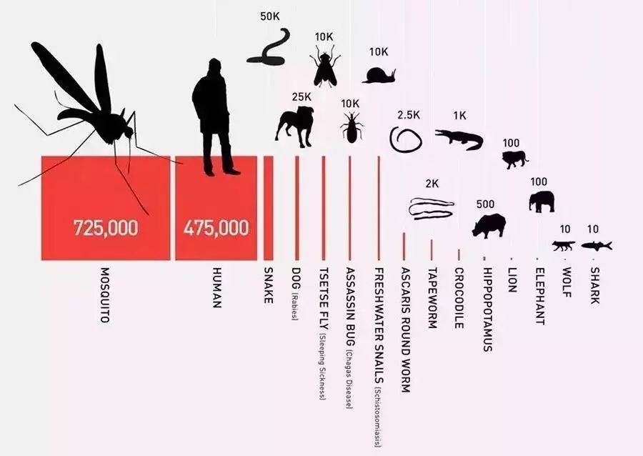 植物驱蚊精华,温和驱蚊天然植物配方