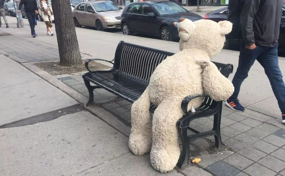 你的加拿大Costco会员卡上海也可以刷！但在中国办卡竟然比加拿大还便宜...