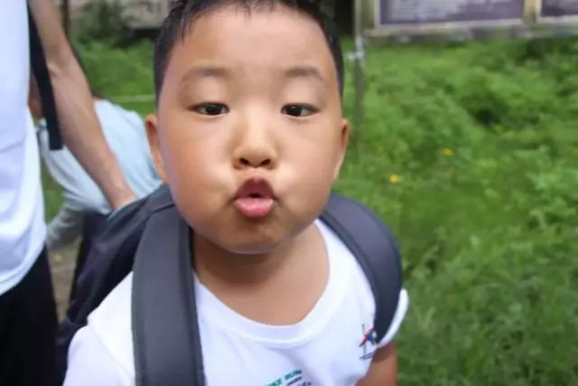 暑假攻略——2019暑期KBR-KIDS训练营！